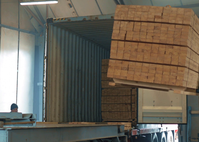 loading-container-a-bundle-with-timber-trucks-transporting-blocks-of-wood_sxmjx590_thumbnail-full01